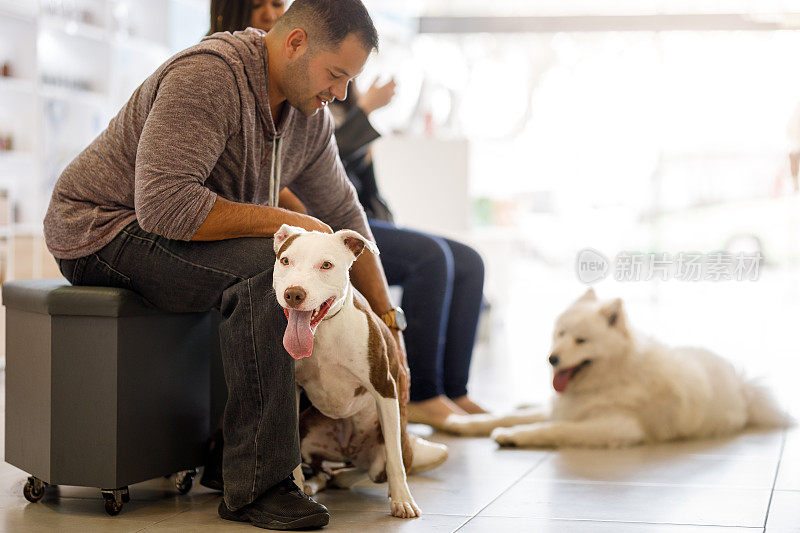 宠物沙龙的顾客和他们的狗