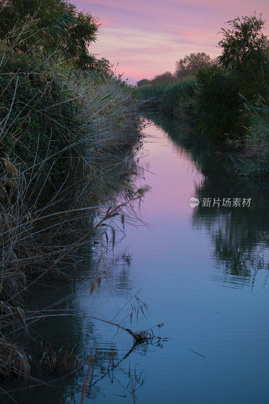 埃尔普拉特・德・洛布雷加特海峡有鸭子和其他水鸟