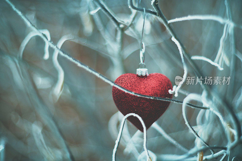 心形的圣诞装饰在雪地的树枝上