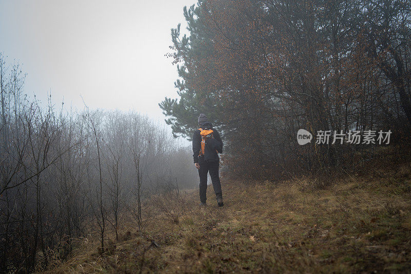 一个人走过迷雾弥漫的森林