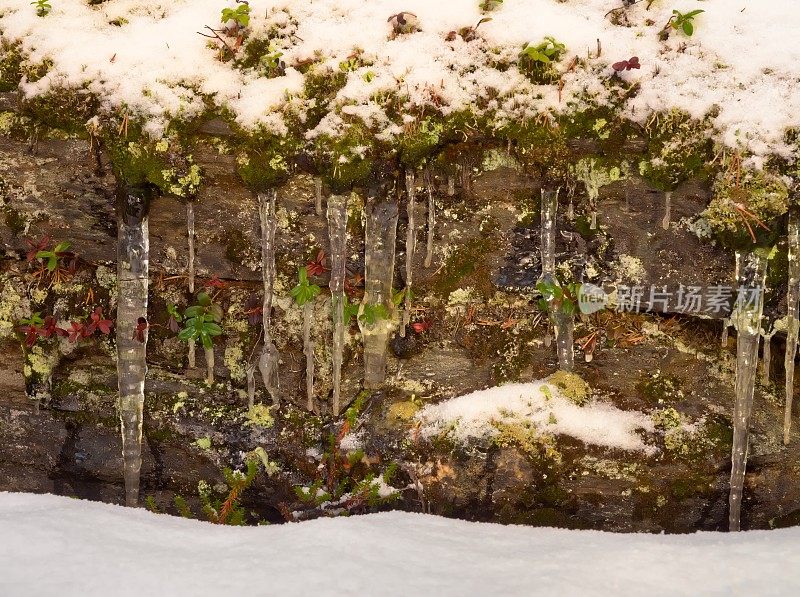 冰柱在白雪森林的岩石前