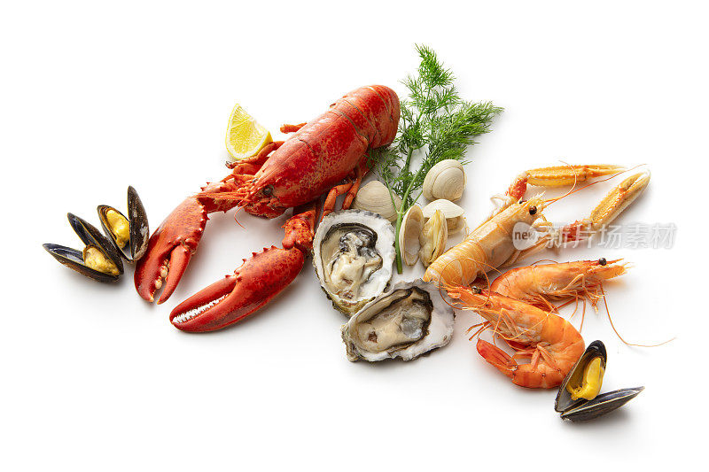 海鲜:龙虾，海螯虾，虾，牡蛎，贻贝和蛤孤立在白色的背景
