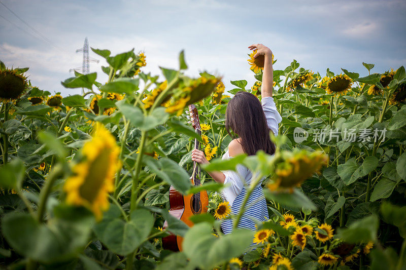 向日葵地里的美丽姑娘