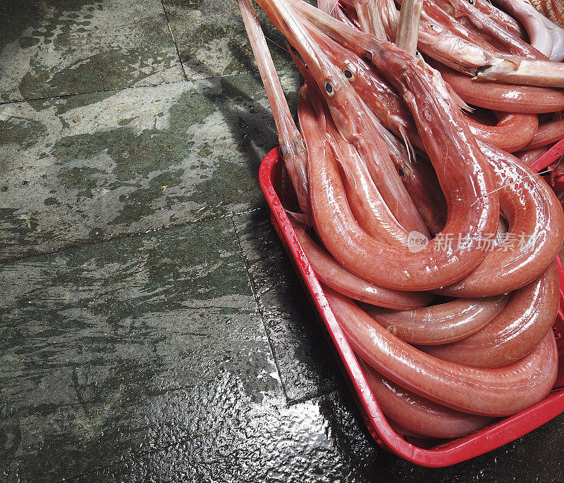 越南岘港的红尖嘴鱼