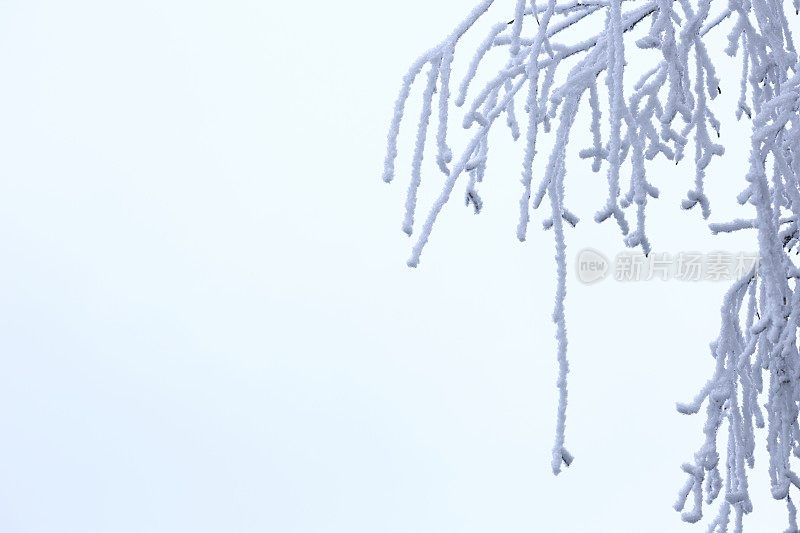 冬天的场景-下雪