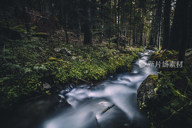 瀑布般的水流在森林中流淌