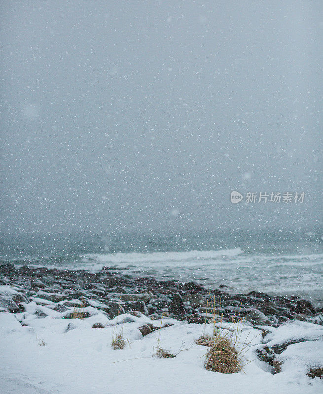 俯瞰挪威罗浮敦白雪覆盖的海滩的女人。