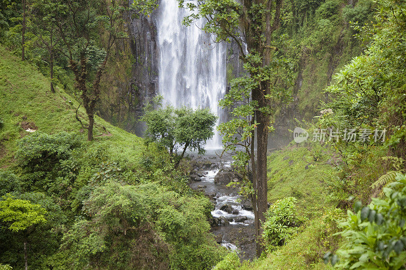 坦桑尼亚森林中的瀑布