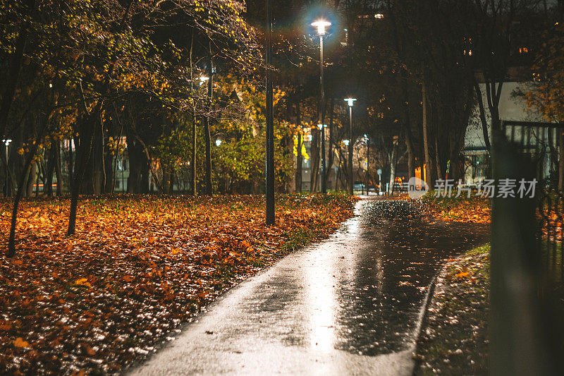 秋夜树木间的街道