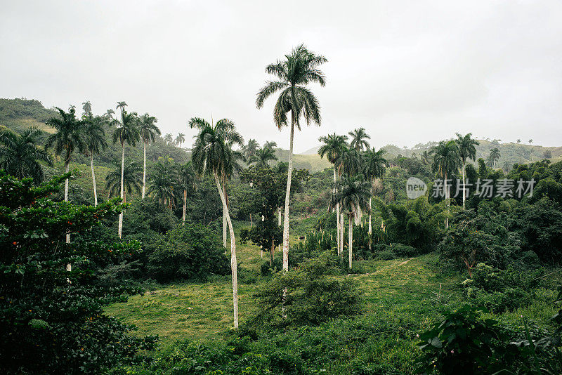 古巴农村