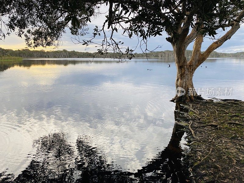 安斯沃思湖日落映像-伦诺克斯头新南威尔士州