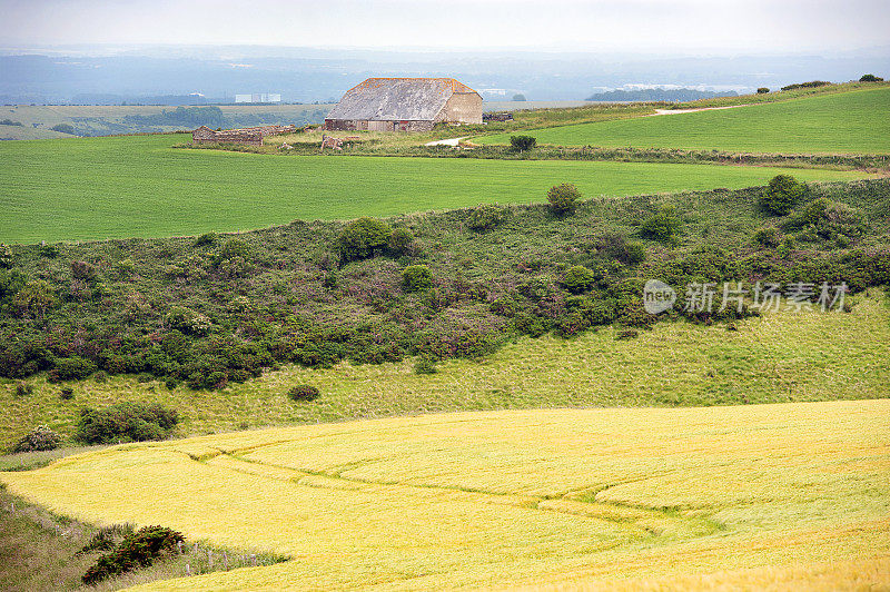 乡村农业景观，奥斯明顿米尔斯，Ringstead湾，侏罗纪海岸，多塞特，英格兰