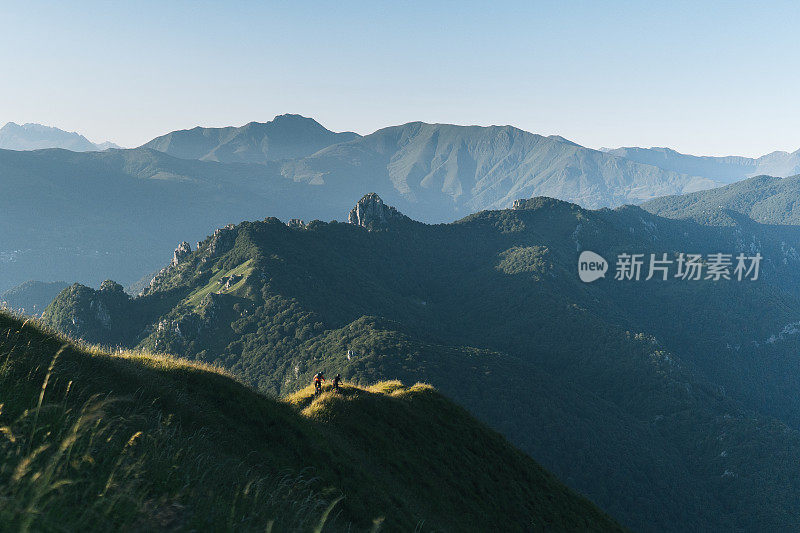 山地自行车骑在长满草的山脊上