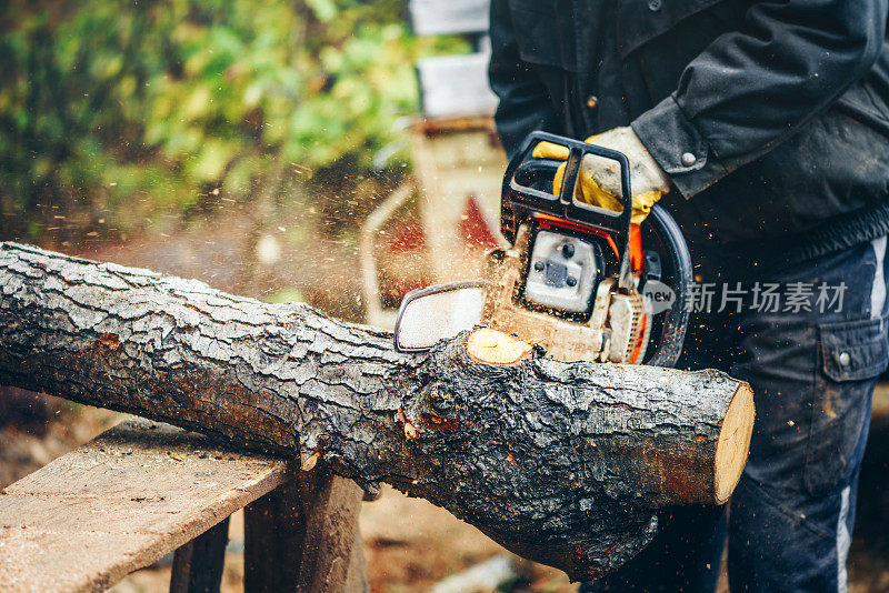 电锯在锯木头。人们用锯子，灰尘和动作锯木头。