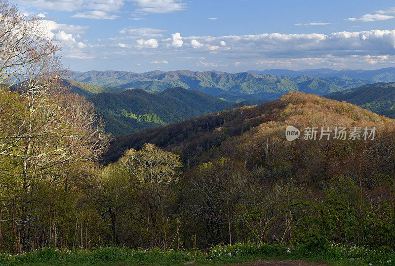 美国北卡罗来纳州的斯莫基山