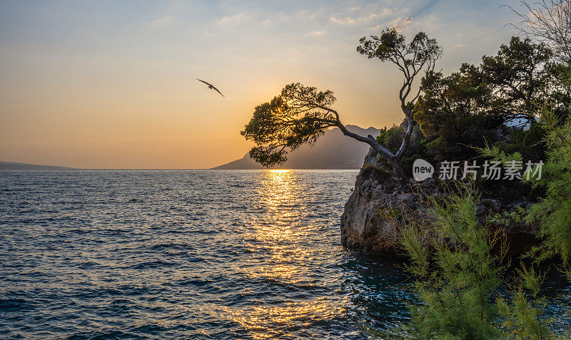 克罗地亚地中海小镇布雷拉日落时的岩石岛