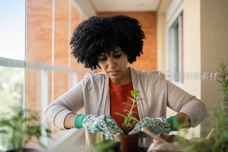 在家里照料植物的妇女