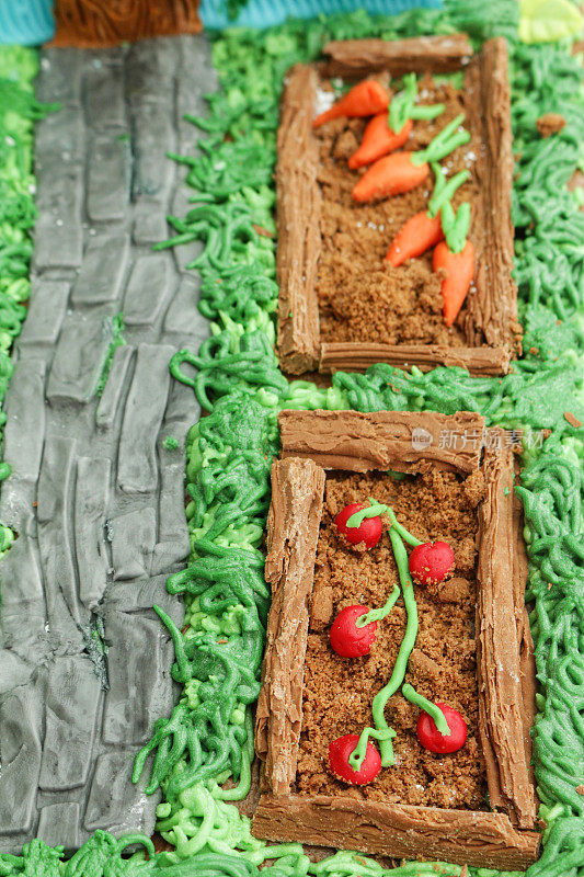 自制蛋糕设计成小屋和花园，黄油糖霜草和方糖糖霜通道，巧克力片种植的饼干屑土壤，方糖糖霜胡萝卜和西红柿细节，高架视图