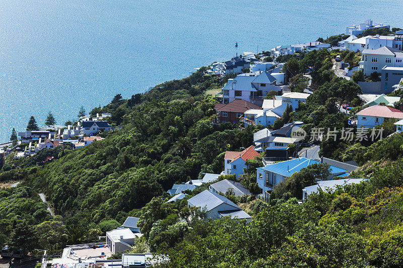 惠灵顿的山坡社区，新西兰