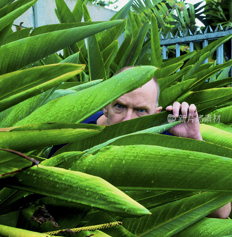 人躲在植物后面