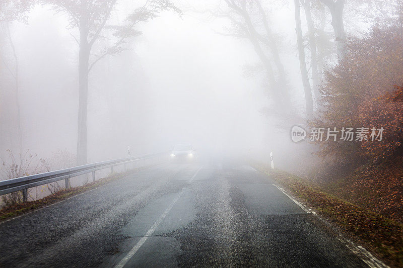 秋天的路穿过森林的雾