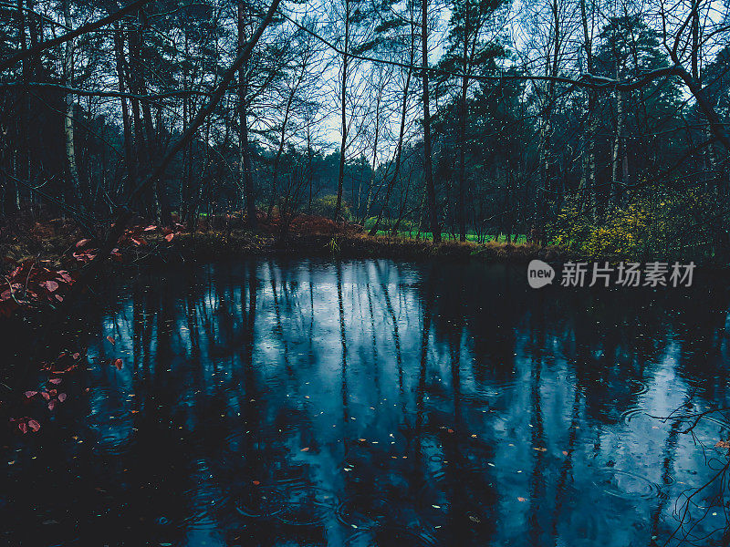 在冬天的夜晚，在潮湿的天气里，森林中央的一个小湖。