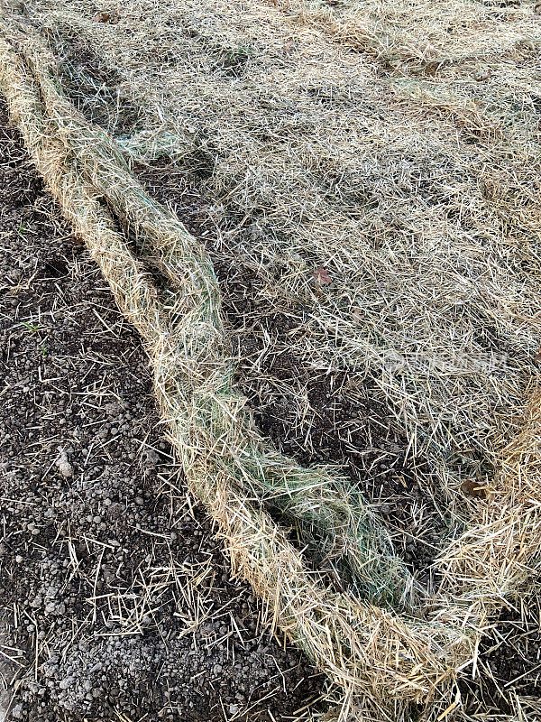 新种区稻草覆盖网