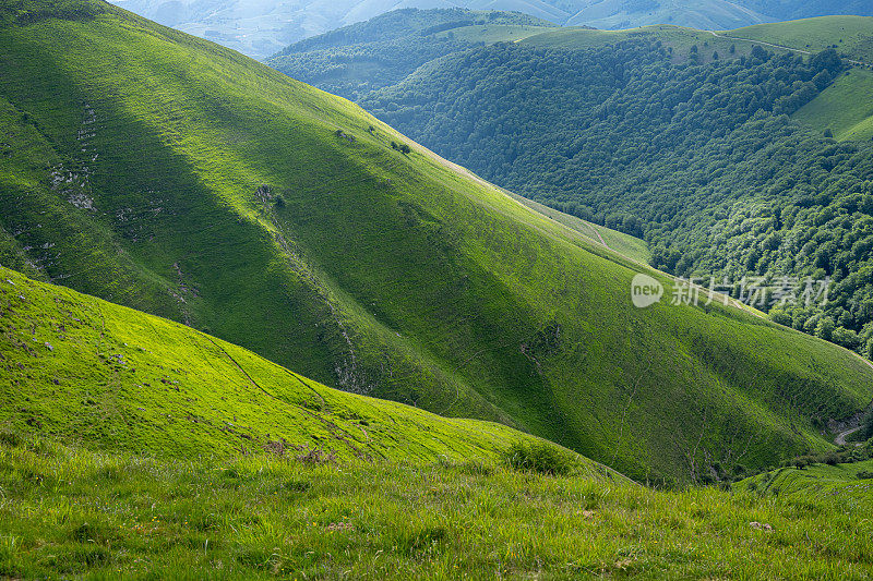 郁郁葱葱的山谷在比利牛斯山脉