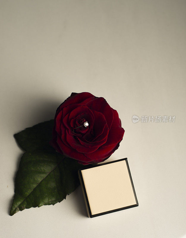 结婚戒指插在红玫瑰花蕾里，礼品盒上没有刻字。婚礼订婚的概念