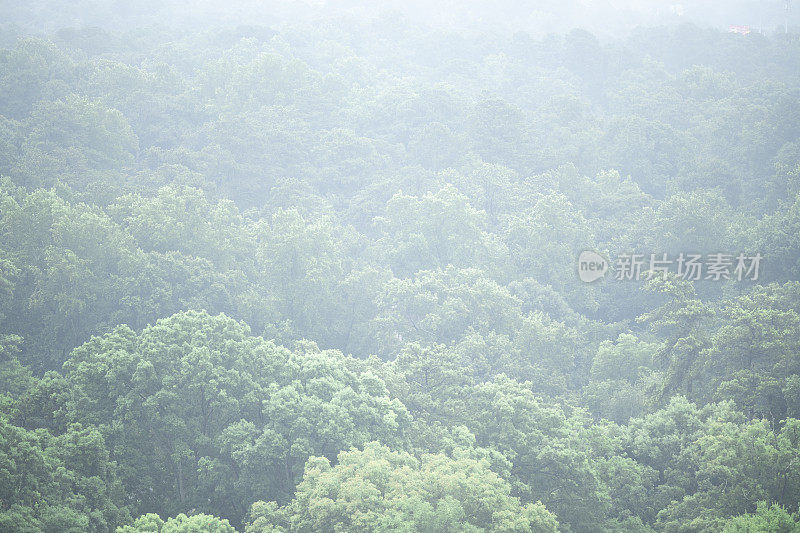 佐治亚州亚特兰大市一个雾蒙蒙的夏日早晨