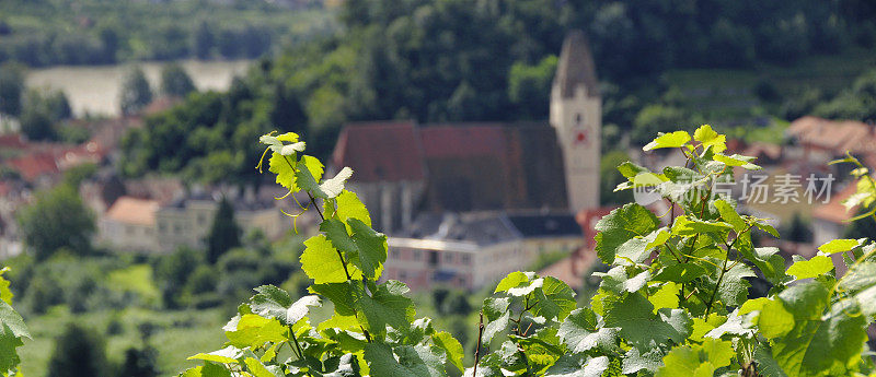 小镇“斯皮兹和德多瑙”教堂的风景。(多瑙河谷)
