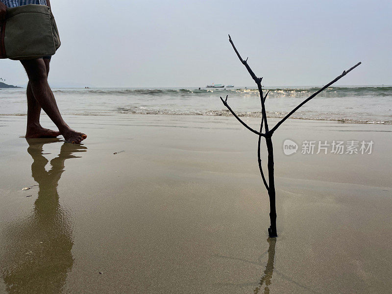 水边阳光海滩上潮湿的沙子特写图像，树枝垂直插入沙子，无法辨认的人走在水边，大海背景，重点在前景，复制空间