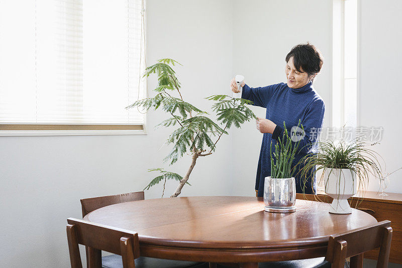 亚洲老年妇女在客厅里种花