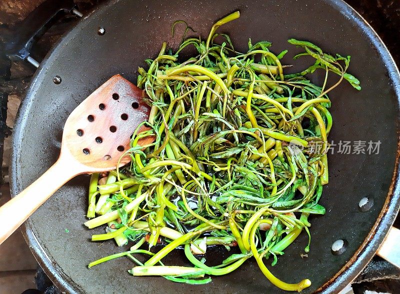 炒水含羞草蔬菜-食品制备。