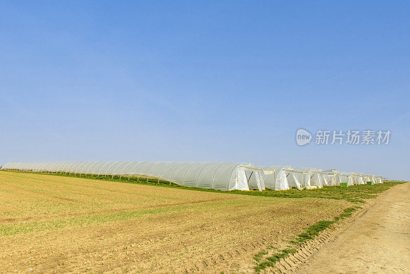 农田上的几个隧道温室，蓝天，复制空间