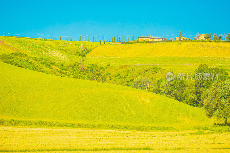 意大利的田野。农场。夏天