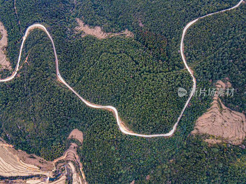 在森林间的道路上飞行