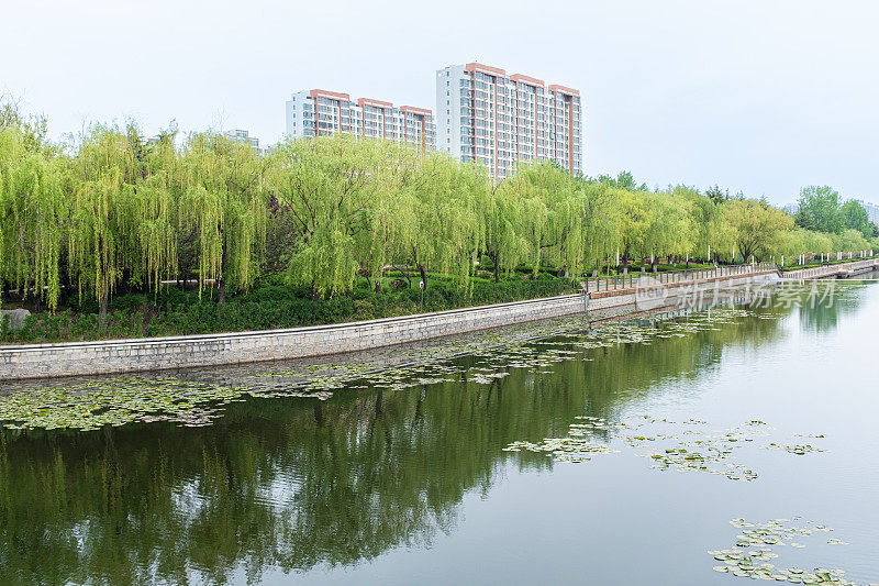 青岛角洲三里河公园全景