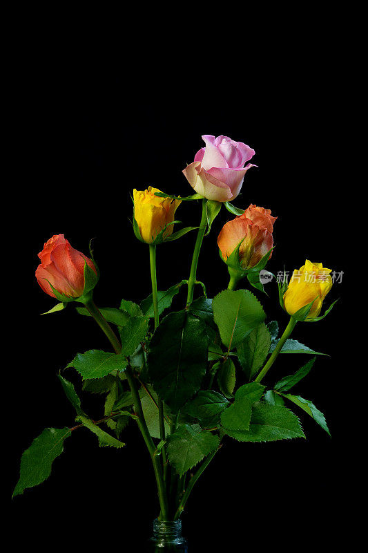 美丽的玫瑰和鲜花花束，用于爱情和激情和婚礼钟声
