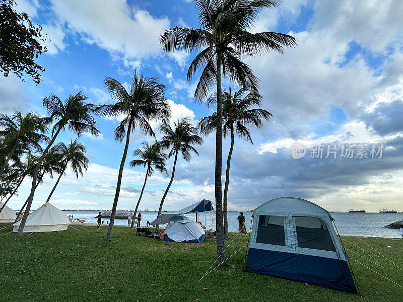 新加坡东海岸公园海滨露营地棕榈树下多人帐篷的特写图像，多云晴朗的蓝天