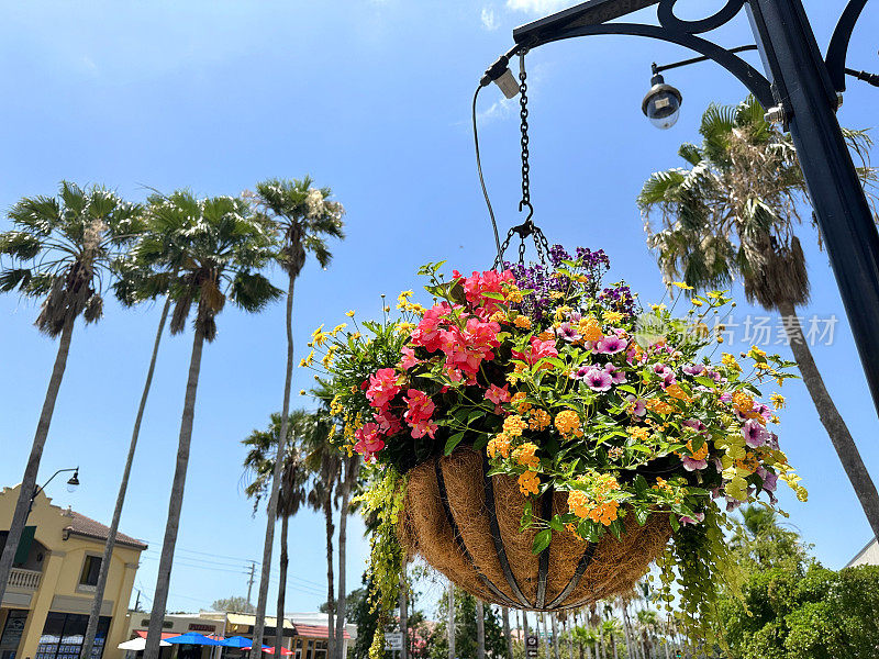 城市街道上悬挂着五颜六色的盆花