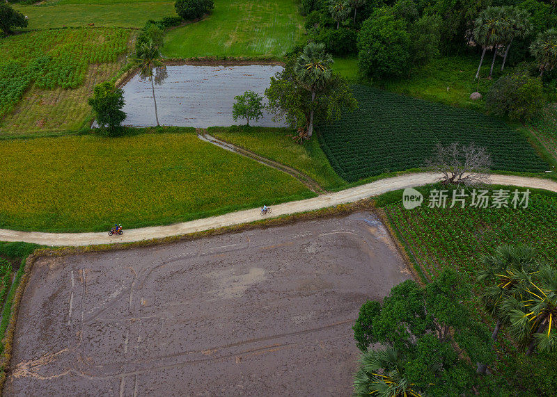 安江省一条穿过稻田和菜地的乡村公路的航拍照片