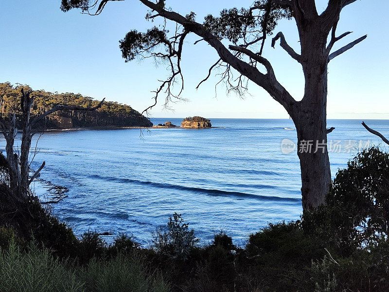 海盗湾，鹰颈，塔斯马尼亚