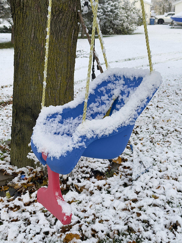 秋千挂在被雪覆盖的树上