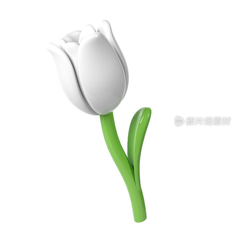 三维白色郁金香花卡通风格的花束或装饰。爱情情人节浪漫设计白色背景隔离春季插图