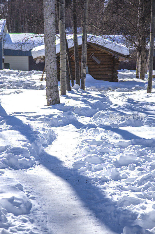 雪景,雪,树,小路,小木屋