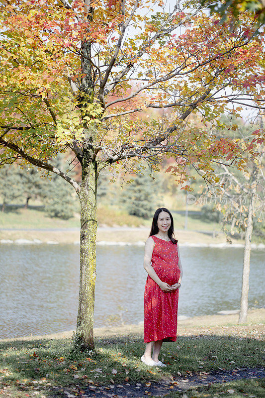 怀孕的中国女人和丈夫