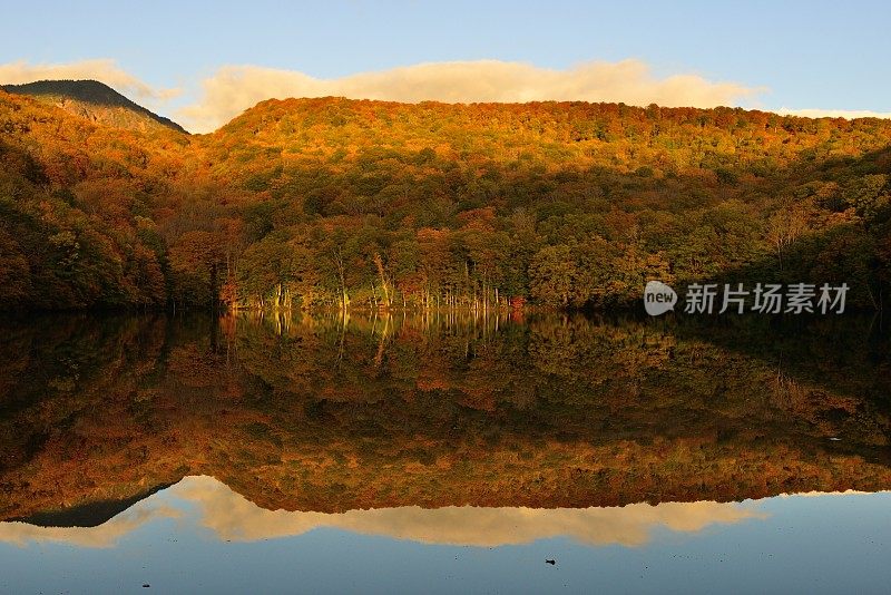 晨光的Tsuta-numa(沼泽)，和田市，日本东北部