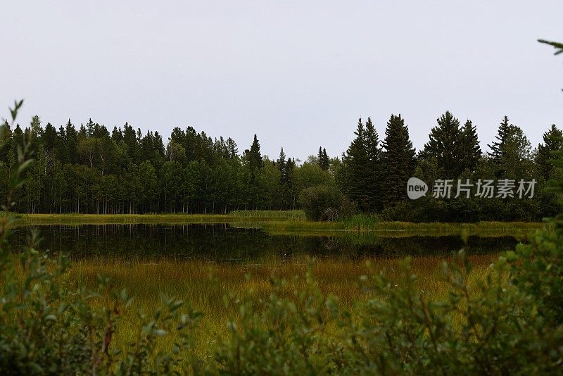 加拿大落基山脉的美丽风景