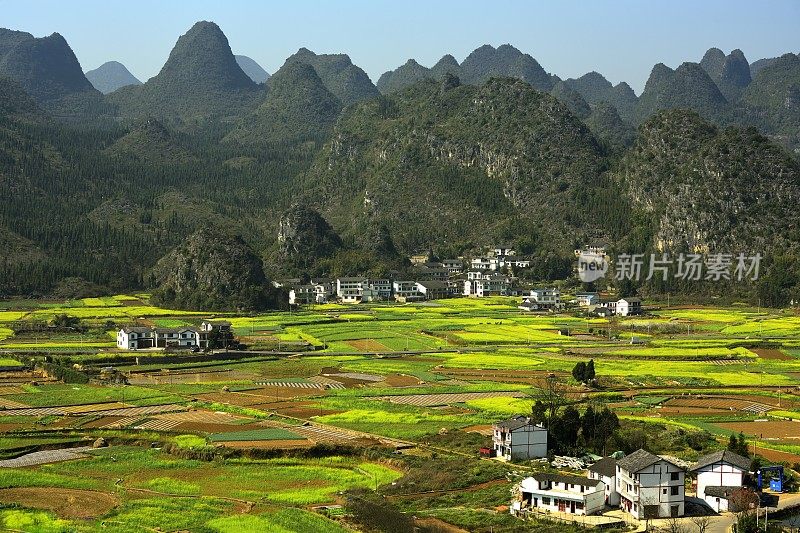 村和油菜花田在喀斯特山峰森林